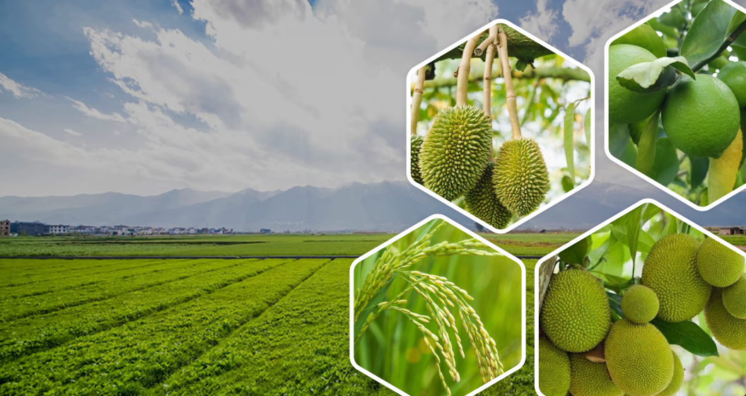 VẬT TƯ NÔNG NGHIỆP TƯ CƯỜNG