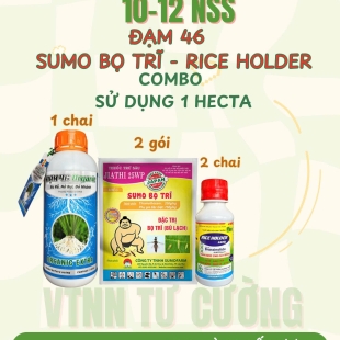 combo-2-kich-moc-re-sumo-bo-tri