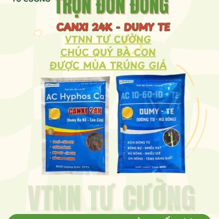 combo-13-tang-suc-de-khang-va-tang-nang-suat