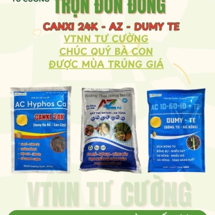 combo-3-phat-trien-toan-dien-cho-giai-doan-lua-tro-bong