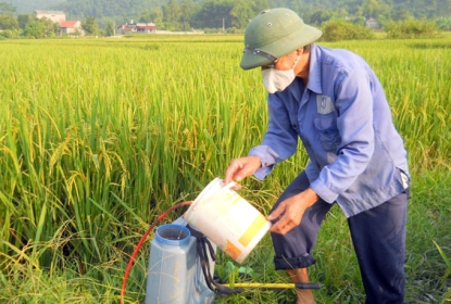 huong-dan-lua-chon-thuoc-bao-ve-thuc-vat-phu-hop-cho-mua-vu-202